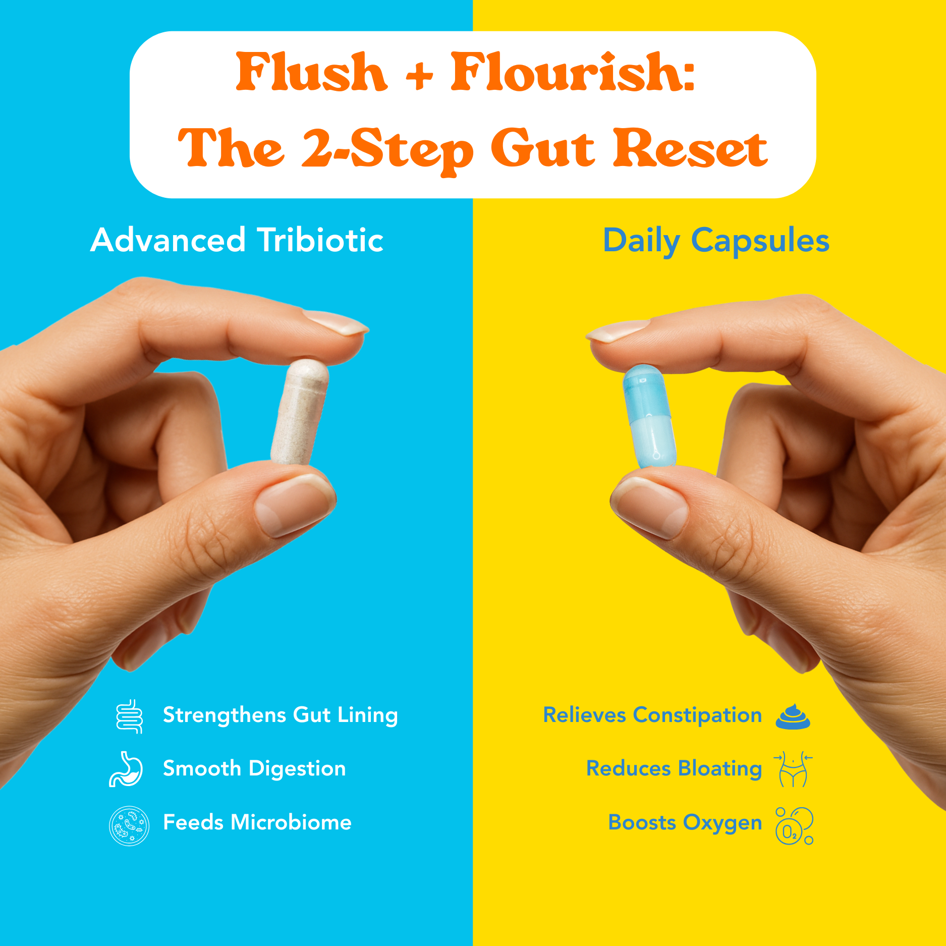 Flush + Flourish: Your 2-Step Gut Reset